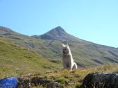 Giro ad anello ai Laghi Gemelli con salita al Pizzo Farno e a Cima Giovanni Paolo II il 4 settembre 2010 - FOTOGALLERY